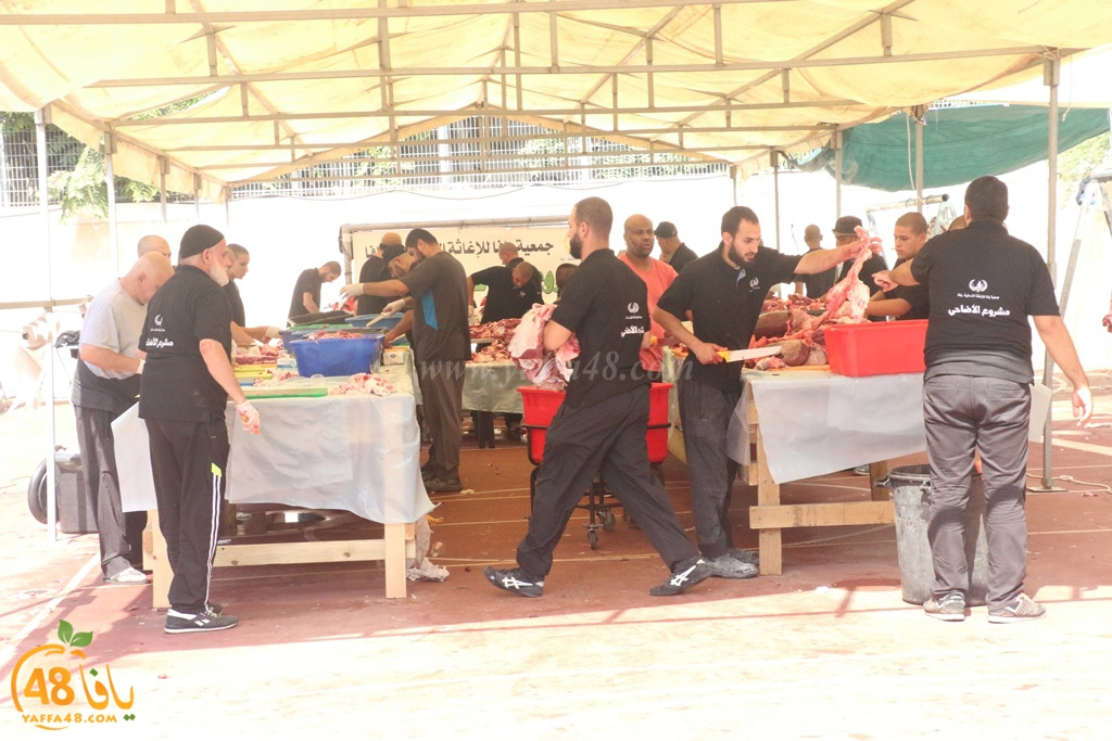 ada7y forthei (77).JPG